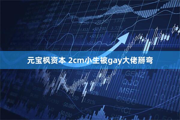 元宝枫资本 2cm小生被gay大佬掰弯