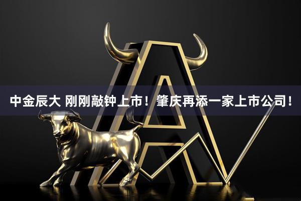 中金辰大 刚刚敲钟上市！肇庆再添一家上市公司！