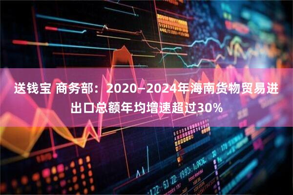 送钱宝 商务部：2020—2024年海南货物贸易进出口总额年均增速超过30%