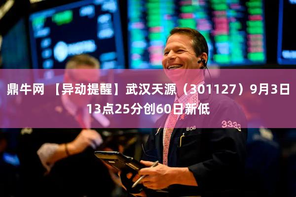 鼎牛网 【异动提醒】武汉天源（301127）9月3日13点25分创60日新低