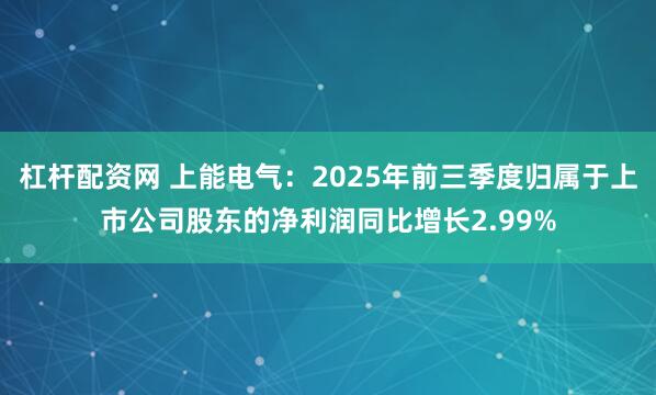 杠杆配资网 上能电气：2025年前三季度归属于上市公司股东的净利润同比增长2.99%