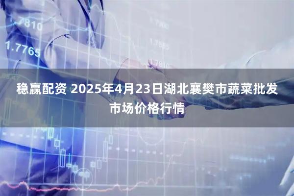 稳赢配资 2025年4月23日湖北襄樊市蔬菜批发市场价格行情