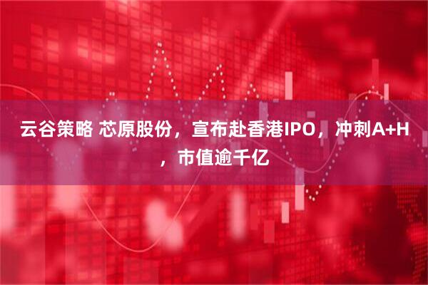 云谷策略 芯原股份,宣布赴香港IPO,冲刺A+H,市值逾千亿